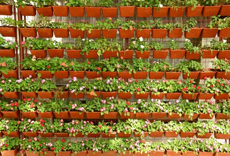 flower wall vertical gardenの写真素材
