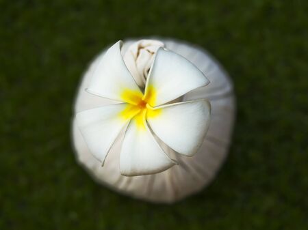 Spa massage compress balls, herbal ball with flower, Thailand, select focusの写真素材