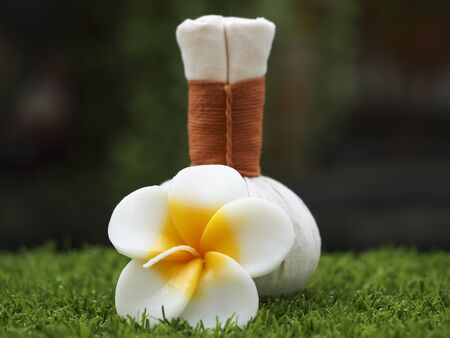 Spa massage compress balls, herbal ball with flower, Thailand, select focusの写真素材