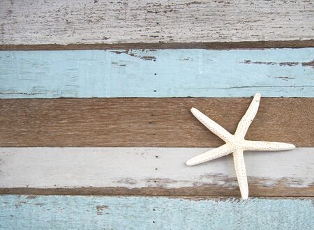 Star fish and sea animal on wooden backgroundの写真素材