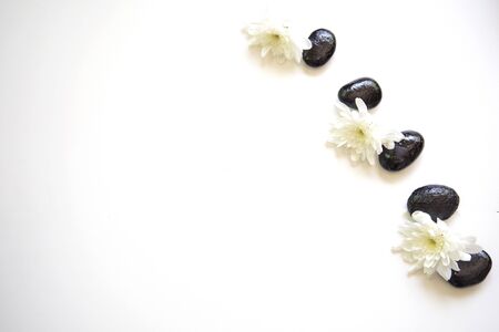 Spa Treatments  and massage on wooden whiteの写真素材