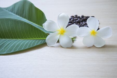 Spa massage and treatment on the wood, Thailand, select focusの写真素材