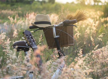 Bicycle with basket and guita of flowers in meadow, select and soft focusの写真素材