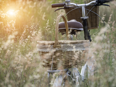 Bicycle with basket of flowers in meadow, select and soft focusの写真素材