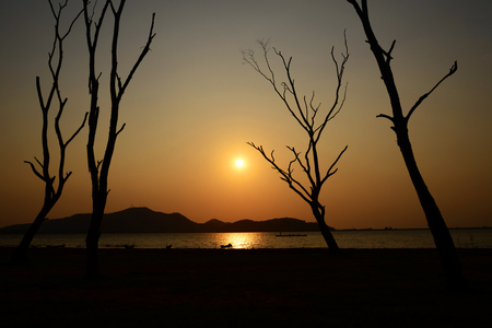 Tree silhouette with sun and red orange yellow sky,Thailandの写真素材
