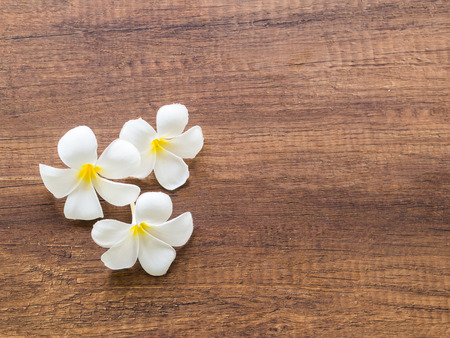 Frangipani plumeria Spa Flower on the woodenの写真素材
