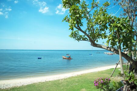 Dream scene. Beautiful tree white sand beach. Summer nature viewの写真素材