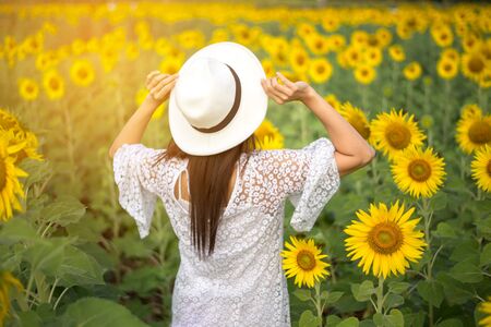 Beautiful girl in field of sunflowers, so happy and relaxの写真素材