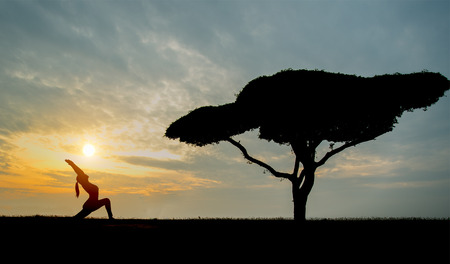 Silhouette yoga young woman with alone tree in the sunset backgroundの写真素材