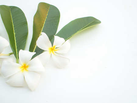 Spa Treatments and massage on wooden white, soft and select focusの写真素材