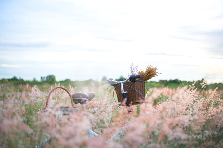 Bicycle with basket and guitar of flowers in meadow vintage, select and soft focusの写真素材