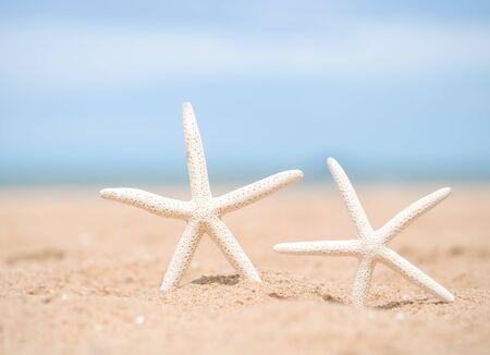 Closeup starfish on the beach background blue skyの写真素材