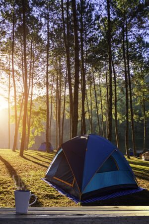 Cup of coffee in tent with forest sunrise viewの写真素材