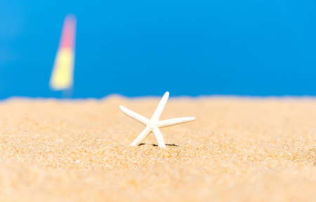 Closeup starfish on the beach background blue skyの写真素材