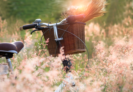 Bicycle with basket and guita of flowers in meadow, select and soft focusの写真素材
