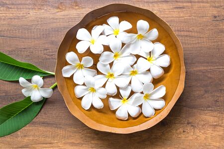 Spa treatment and massage, Thailand,の写真素材