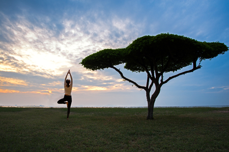 Silhouette yoga young woman with alone tree in the sunset backgroundの写真素材
