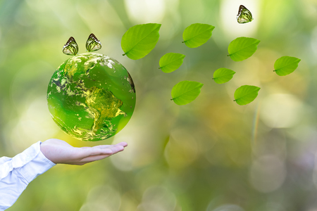 Green world with butterfly and leaves in man hand, green background, Earth image provided by Nasa.の写真素材