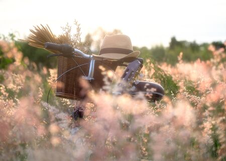 Bicycle with basket and guitar of flowers in meadow, select and soft focusの写真素材