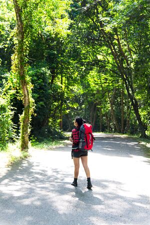 Hiker woman walk on the way in the forestの写真素材
