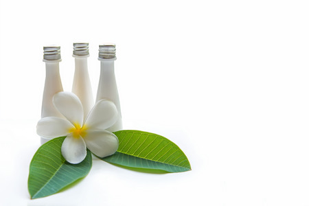 Thai Spa Treatments and massage flower on wooden white background.  banner. lots of copy space.  Healthy Concept.の写真素材
