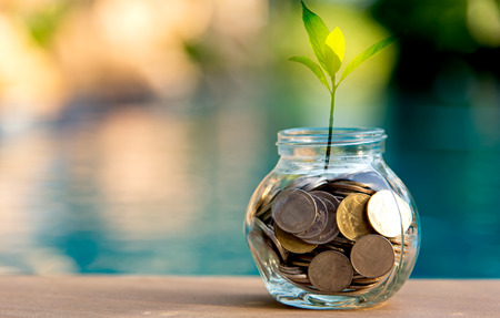 Savings money coin full of glass piggy. Plant Growing In Savings Coins. Investment  Conceptの写真素材