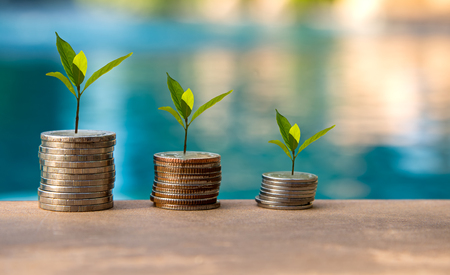 Plant Growing In Savings Coins. Money coin stack growing graph. Investment  Conceptの写真素材