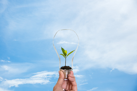 Hand holding on light bulb with green plant inside for saving earth, nature blue sky background. Idea environmental conservation Conceptの写真素材