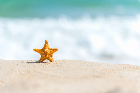 Closeup starfish on the sand beach background blue sky. Summer and Travel Conceptの写真素材