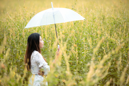 Happy asian woman lifestyle hand holding umbrella in the meadow autumn yellow flower sunrise.  Active Outdoor Relax and enjoy in Nature.  Lifestyle Conceptの写真素材