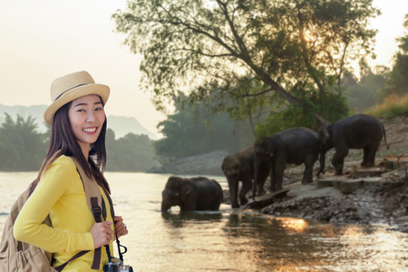 Tourism asian women backpack seeing the wild elephant in the beautiful forest at Kanchanaburi province in Thailand for the trips vacation . Travel and Trips Conceptの写真素材