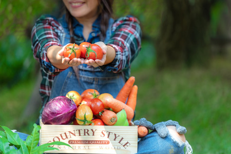 Asian happy women farmer holding a basket of vegetables organic in the vineyard outdoors countryside...