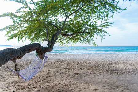 Dream scene. Beautiful tree over white sand beach. Summer nature viewの写真素材