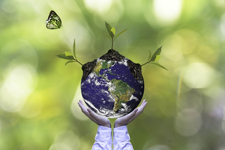 Planet and tree in human hands over green nature ecology, Save the earth concept, Elements of this...