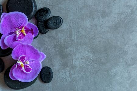 Thai Spa. Top view of hot stones setting for massage treatment and relax with purple orchid on blackboard with copy space.  Lifestyle Healthy Conceptの写真素材