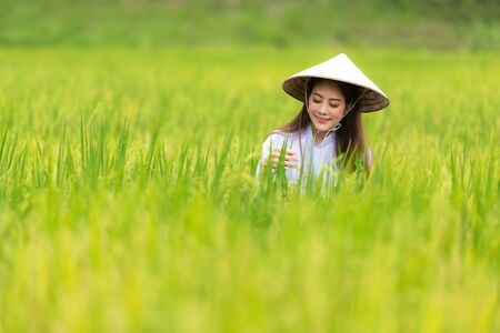 Asian beautiful women farmer harvesting green rice fields on terraced in Thailand.  Agriculture Conceptの写真素材