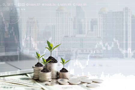 Growth plants economic on stack of coins on paper analyze performance financial graph funding with calculate for investment business. Investment and Saving Conceptの写真素材