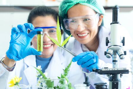Close up green oil and essential with team science lab research flower with microscope for Natural...
