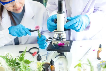 Asian Woman and team science lab research for Natural alternative herb and essential oil from fresh flower new product skin care with microscope.  Healthy  Laboratory の写真素材