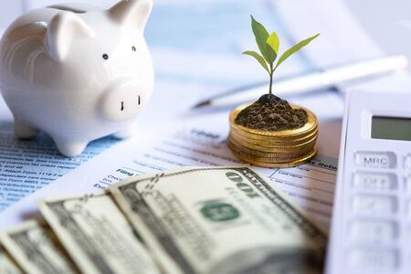 Calculating tax refund or income tax return for saving tax, target for save coin in the piggy bank. Tax and Saving Conceptの写真素材