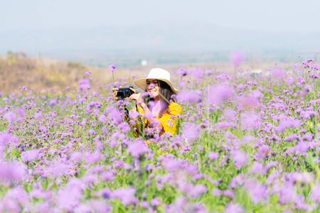 Traveler or tourism Asian women standing and holding camera take a photo flower in the purple  verbena field in vacations time.  People  freedom and relax in the spring  meadow.  Lifestyle Conceptの写真素材
