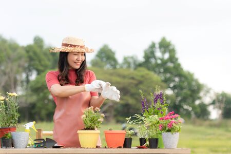 Asian woman care plant flower in garden. Asian people hobby and freelance gardening outdoor sunnyÂ  nature background. Happy and enjoy in spring and summer day.Â  Lifestyle Conceptの写真素材
