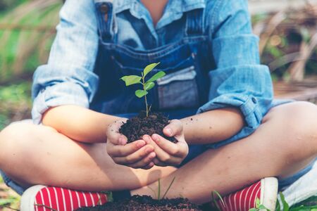 Hands child holding young plants keep environment on the back soil in the nature park of growth of plant for reduce global warming. Ecology concept.の写真素材