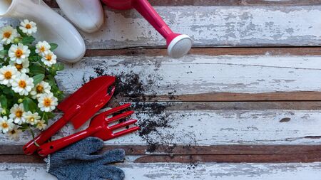 Top view on gardening a shovel filled with soil and flowers potted tool in the garden summer spring time, copy space. Lifestyle Conceptの写真素材