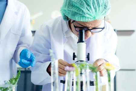 Asian Woman and team science lab research for Natural alternative herb and essential oil from fresh flower new product skin care with microscope.  Healthy  Laboratoryの写真素材