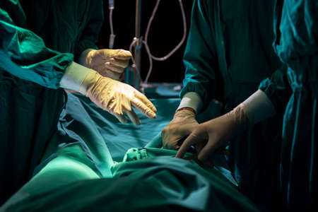 Group and teamwork of surgeons in hospital operating theater. Teamwork medical doctor working  performing surgeryの写真素材