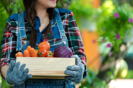Close up hands.  Asian happy women farmer holding a basket of vegetables organic in the vineyard outdoors countryside for sell in the marketsの写真素材