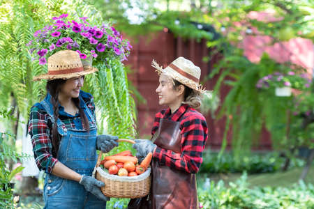 Group Asia women farmer and friend  holding a basket of vegetables organic for trading in the vineyard outdoors countryside for sell in the marketsの写真素材