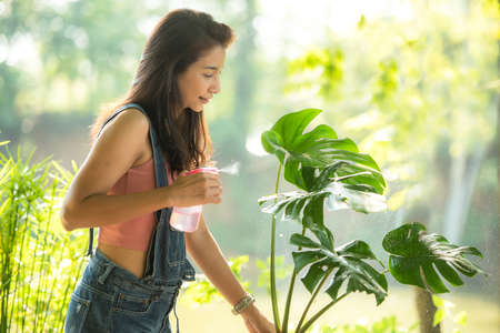 Young woman care plant flower in garden. Asian people hobby and freelance gardening outdoor sunny nature background. Happy and enjoy in spring and summer day.の写真素材
