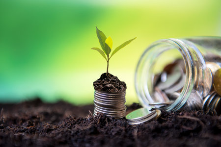 The money coin growing stack for saving and Investment after retirement and elderly on dry background.  Saving for investment Conceptの写真素材